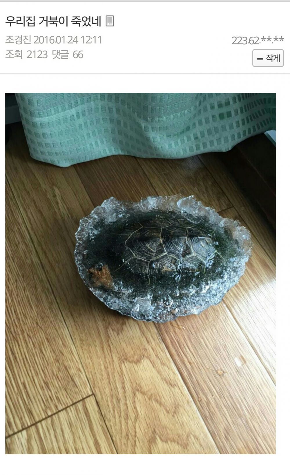 껴부기쭈거쪄.jpg : 고갤러의 거부기.jpg