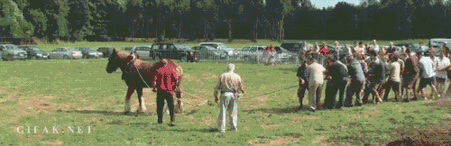 0 (2).gif