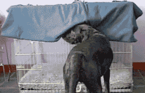 834fc011f8e4f86da3a7309fc95f026c.gif : 오늘 밤은 좀 춥네.gif