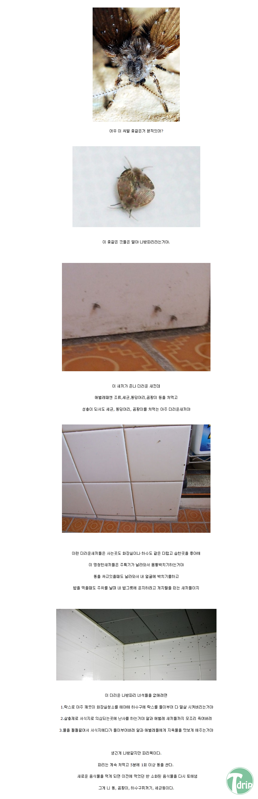 1 (2).png : [혐?]화장실의 흔한 해충새끼.jpg