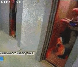 i1304841646.gif