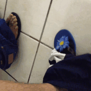 dd.gif