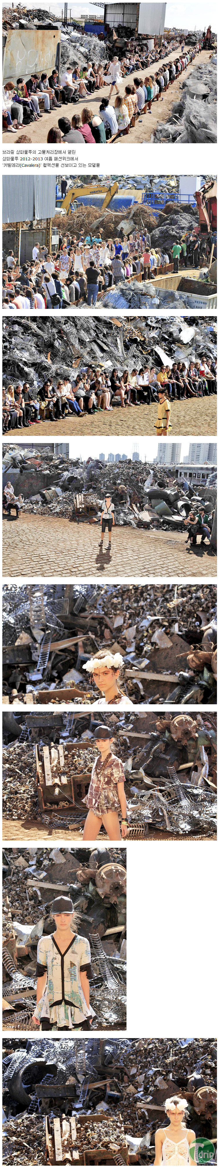 1 (1).png : 쓰레기장에서 열린 패션쇼.jpg