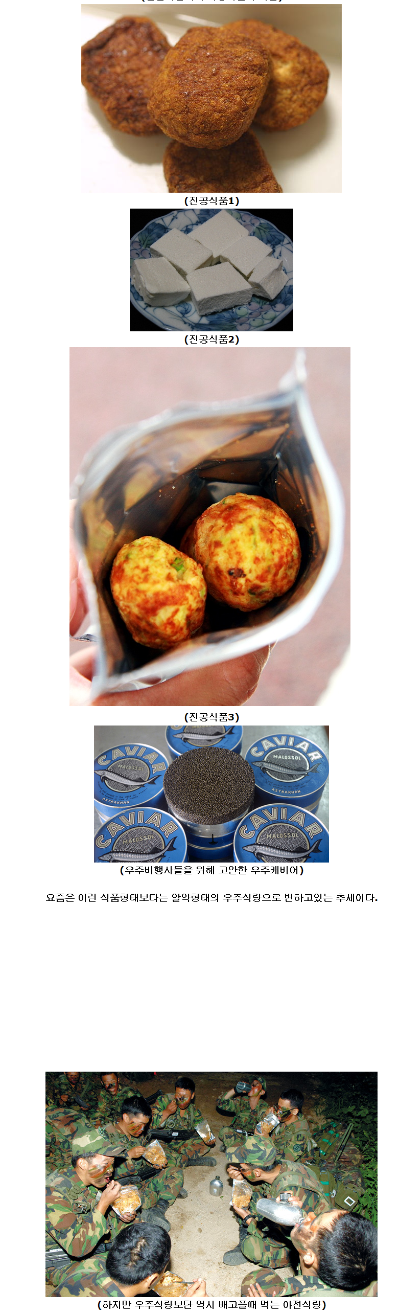 d0136392_4f38d2cb0cf65.png : 우주식량들.jpg