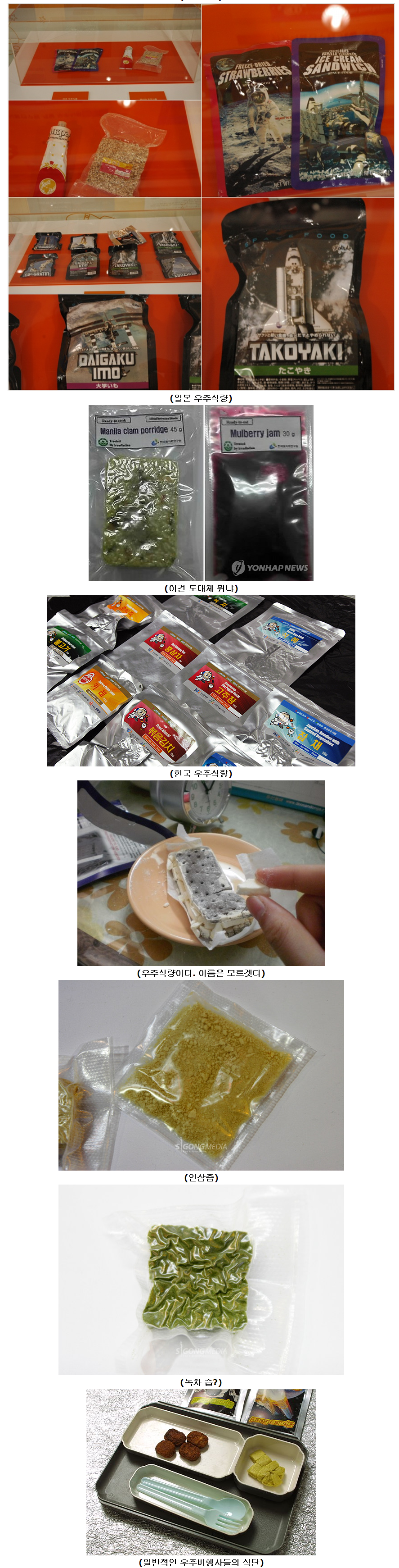 d0136392_4f38d2c9e3873.png : 우주식량들.jpg
