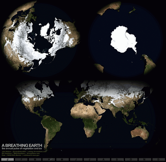 36c058fb325984958407fb60999ac996.gif
