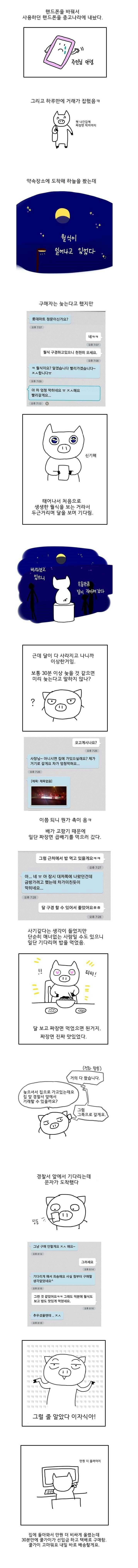 LMEbITJ.jpg : 중고나라 대인배류 갑