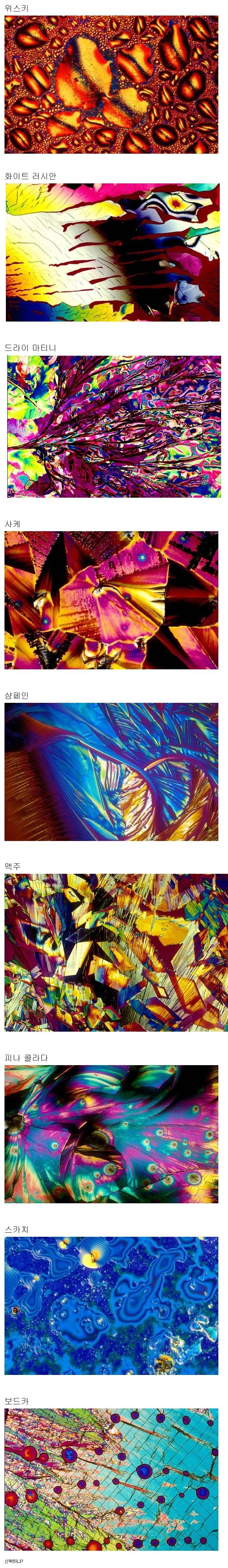 현미경으로바라본술just a two a.jpg
