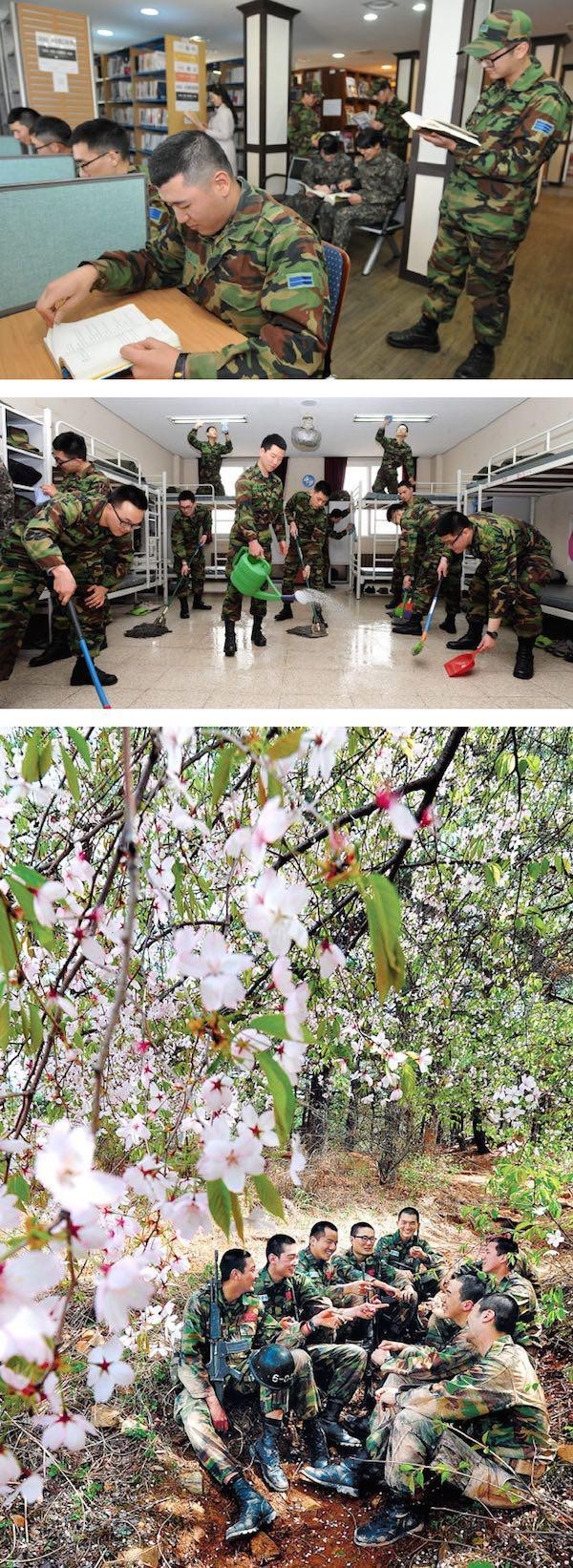 20160201222513_ntewdhkw.jpg : 미화 갑 중에 갑