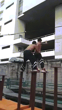 1.gif
