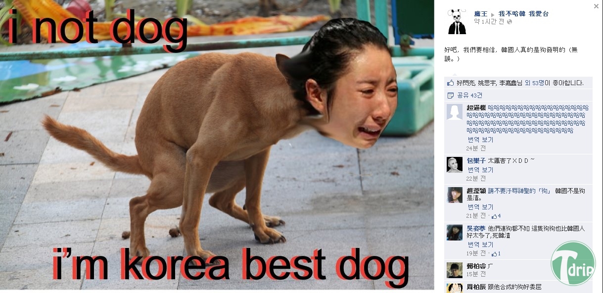 dvd.jpg : 대만 한국펜싱 반응.jpg dvd.jpg : 대만 한국펜싱 반응.jpg