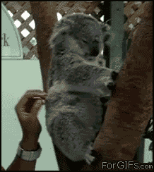 abe211605100bbad8febbc0f4757c33c.gif