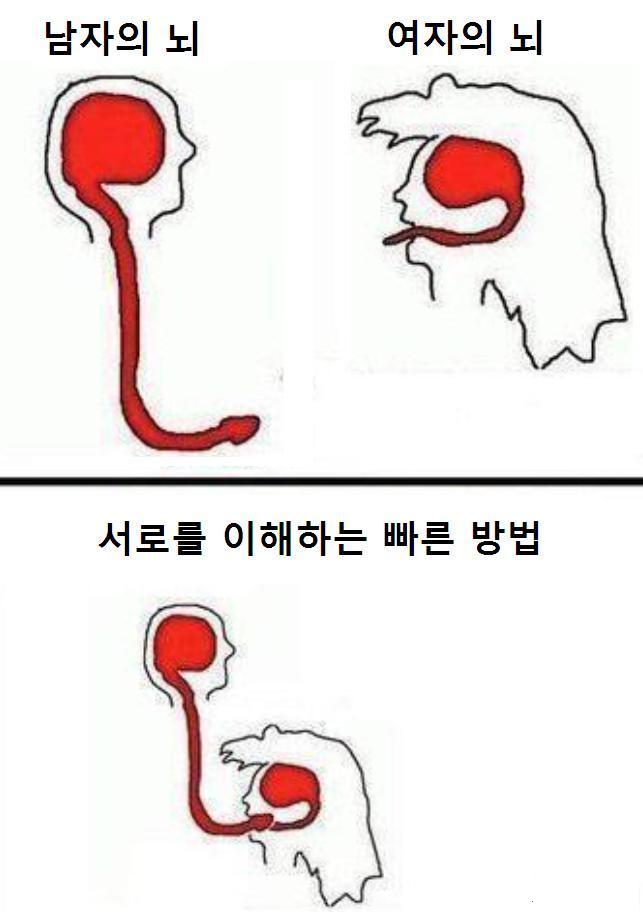 남자와 여자의 뇌구조.jpg