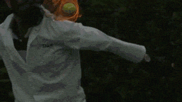 0.gif