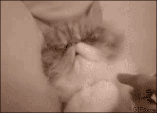 1.gif : 꺅! 안되엣!!!.gif