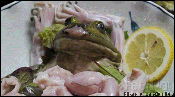 1 (1).GIF : [혐] 개구리 회.gif