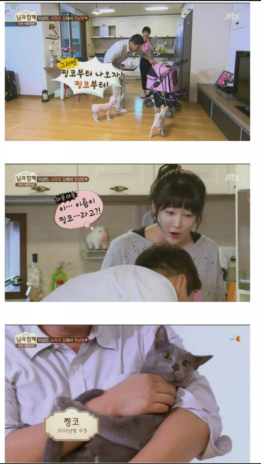 Screenshot_2016-04-26-11-43-20.png : 흥분한 사유리