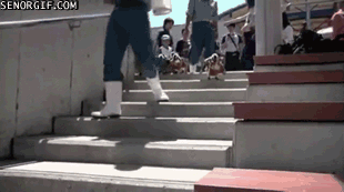 2c2e0401fc8f77259da0191d02115939.gif