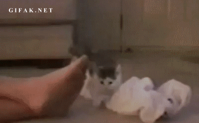 12.gif