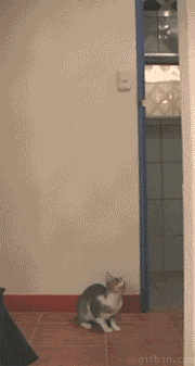 1950B0414EE494A8314F8E 1950B0414EE494A8314F8E