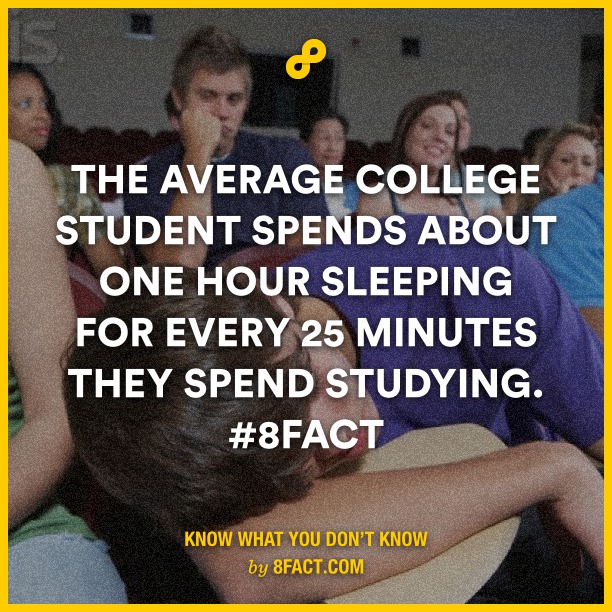 The-average-college-student-sp.jpg