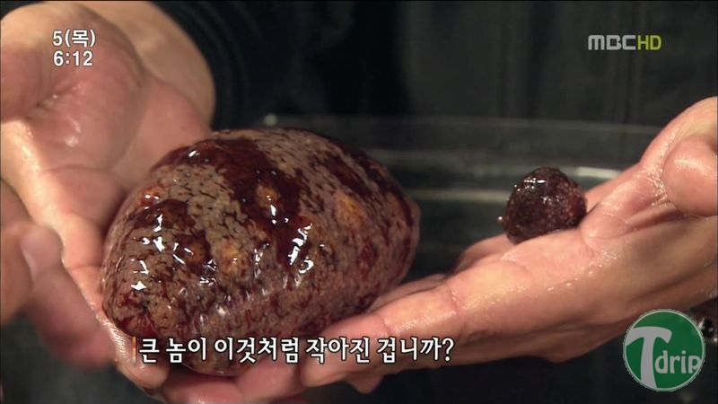 005.jpg : 해삼의 미스테리.jpg 005.jpg : 해삼의 미스테리.jpg