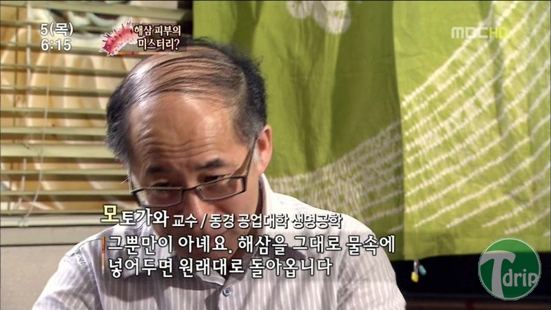 015.jpg : 해삼의 미스테리.jpg 015.jpg : 해삼의 미스테리.jpg