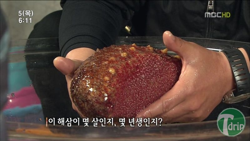 002.jpg : 해삼의 미스테리.jpg 002.jpg : 해삼의 미스테리.jpg