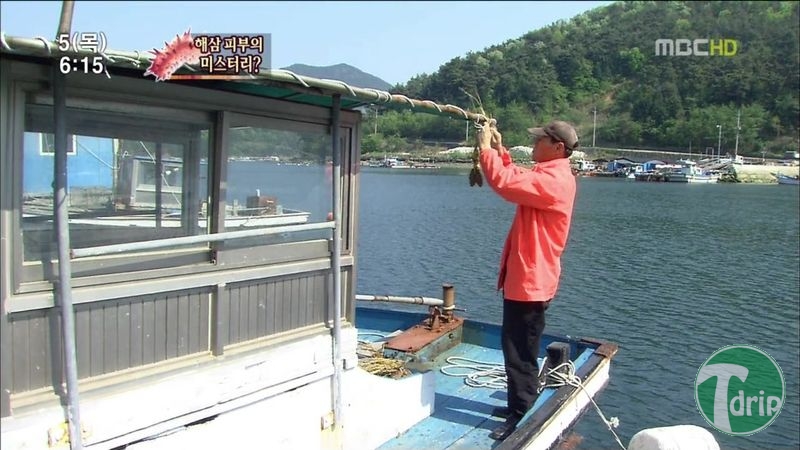 014.jpg : 해삼의 미스테리.jpg 014.jpg : 해삼의 미스테리.jpg