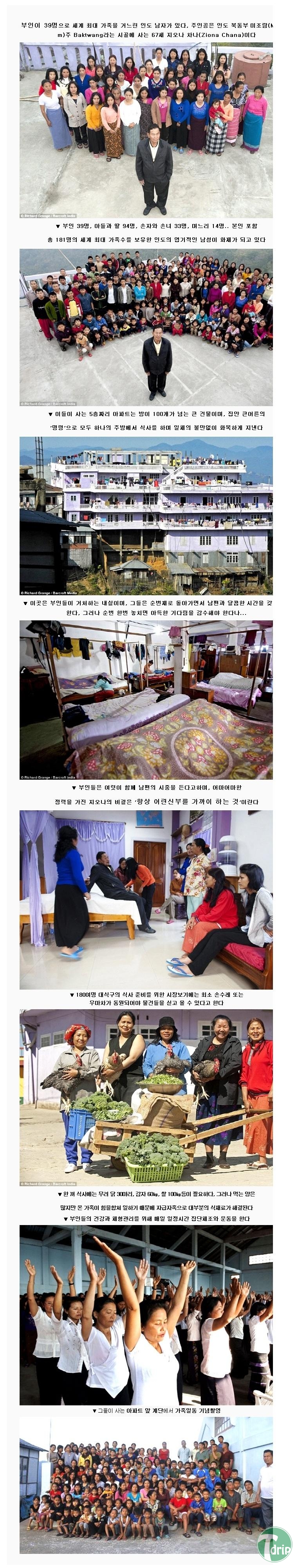 1 (12).jpg : 정력킹.jpg
