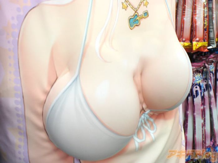 3.jpg : 요즘 덕후들에게 인기있는 베개.jpg