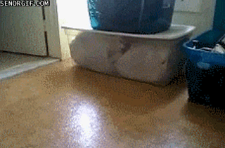 1a4ed5cc3f05d95035f4df6c1f6959d1.gif