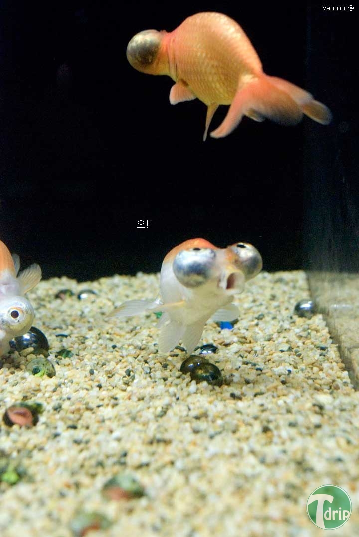 1 (6).jpg : 오오!!.jpg