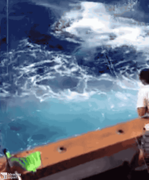 3.GIF