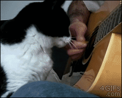g.gif