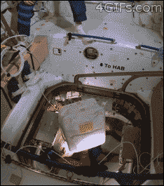 11.gif