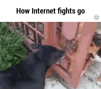 0753373a256624f101f834d2ec361c3d.gif