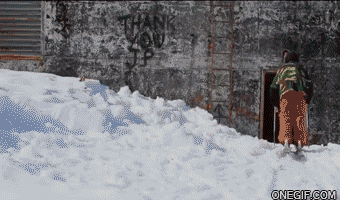 11 (1).gif