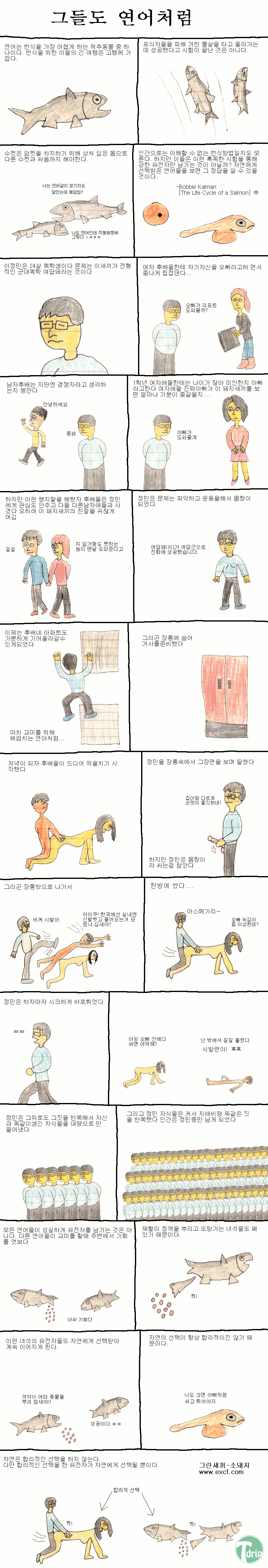 여답돼.png