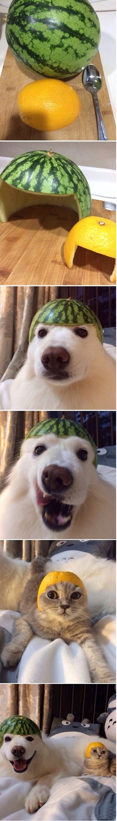 image.jpg : 헬멧 만들기