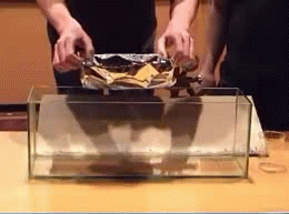 4.gif