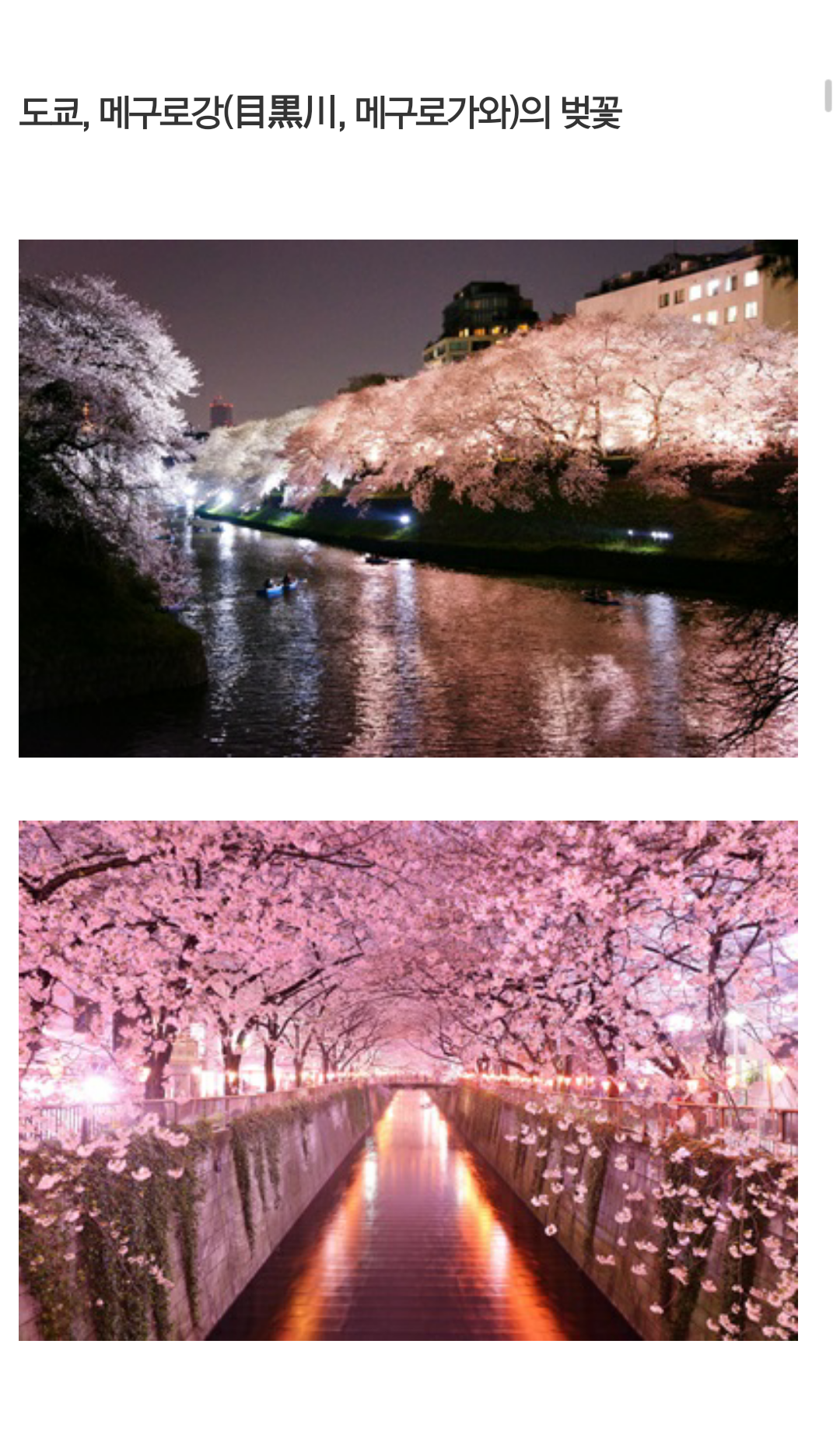 Screenshot_2015-01-11-08-46-33.png : 벚꽃