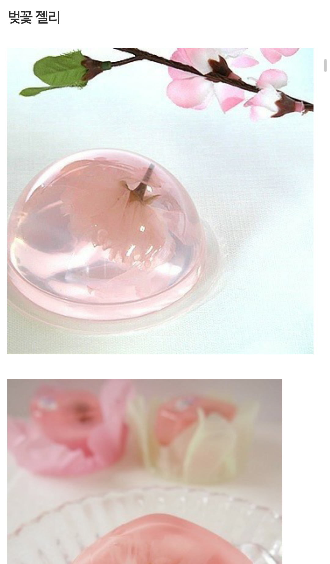 Screenshot_2015-01-11-08-48-27.png : 벚꽃