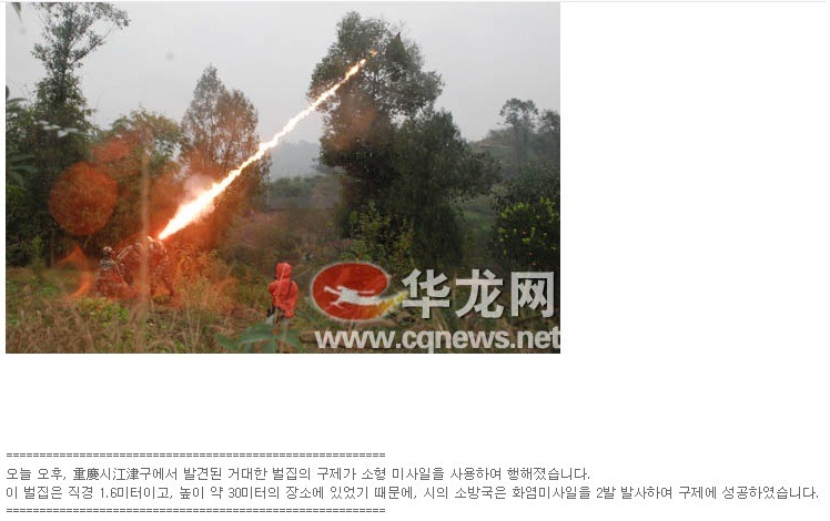 대륙의 벌집 퇴치방법.jpg : 