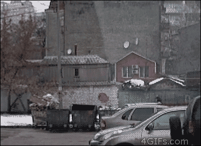 11 (2).gif