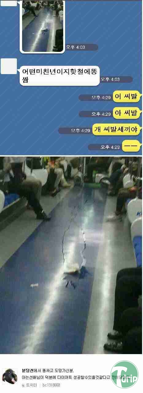 d0136392_4f97d737004e3.jpg : 분당선 똥녀.jpg