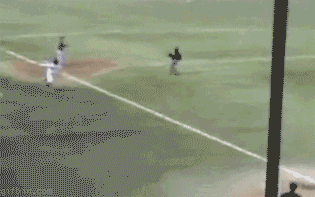 3552857638_db2875e2_IMG_0827.GIF : Safe!.gif