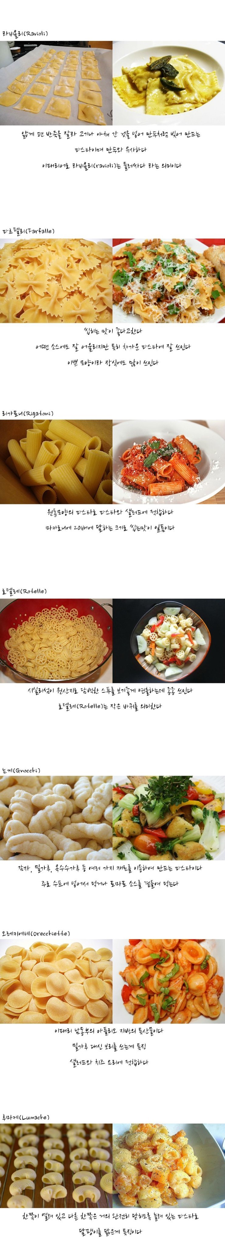 우리2.jpg : 우리가 모르는 파스타들의 종류.jpg