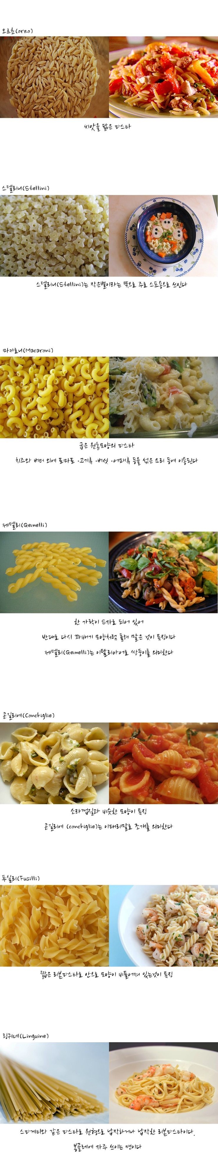 우리.jpg : 우리가 모르는 파스타들의 종류.jpg