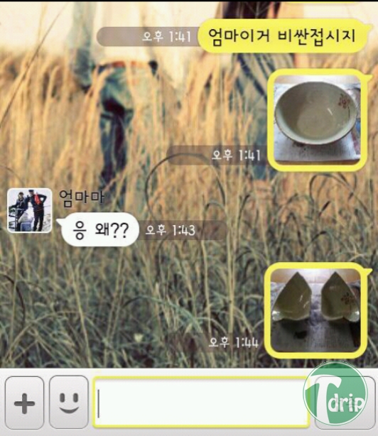 1 (2).jpg : 엄마 이거 비싼 접시지?.jpg
